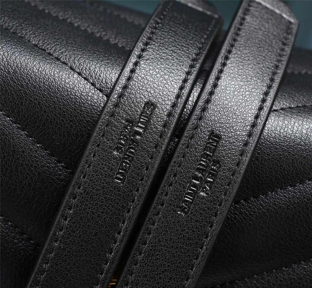 YSL bag-166
