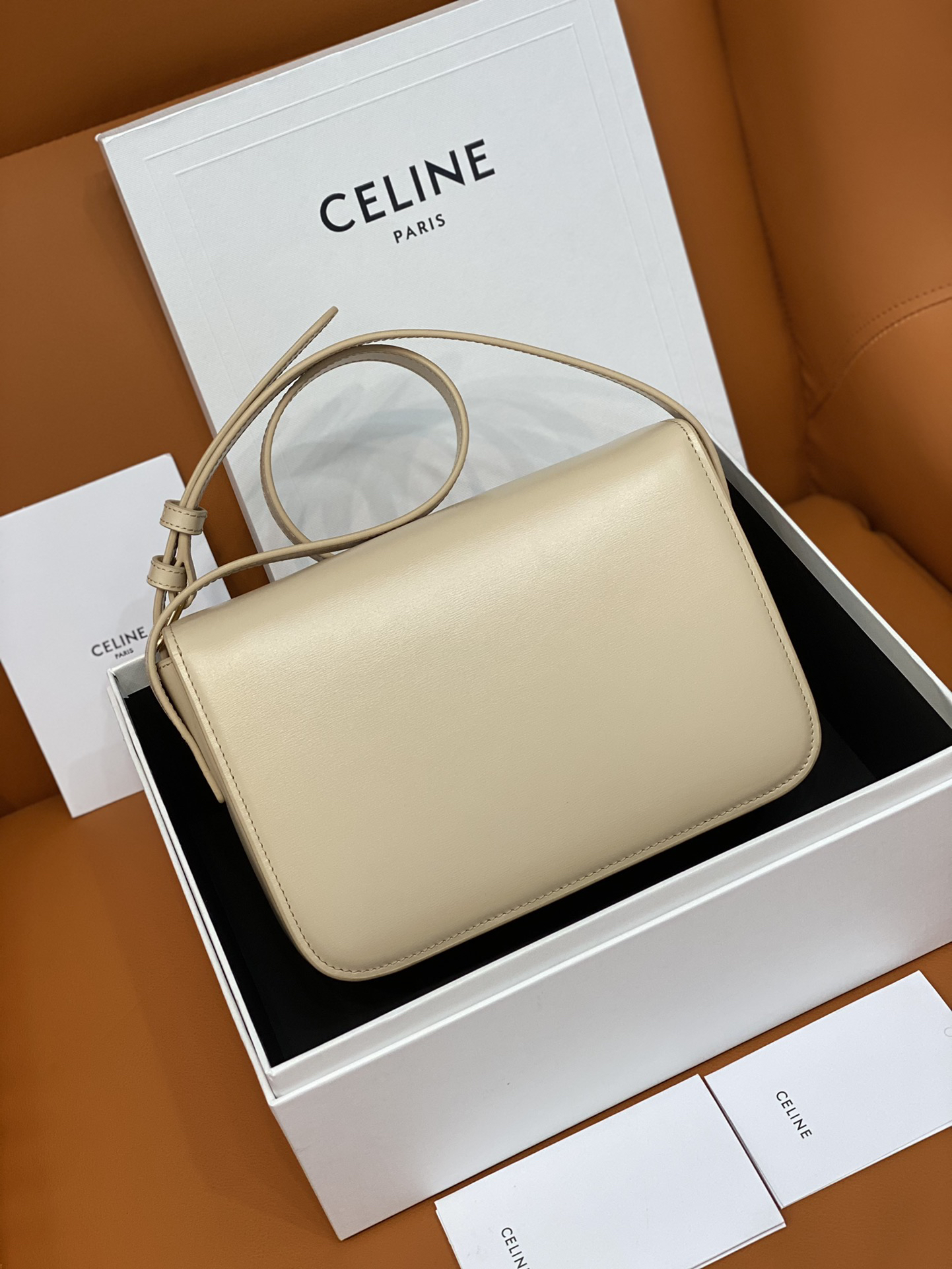 Celine bag-111