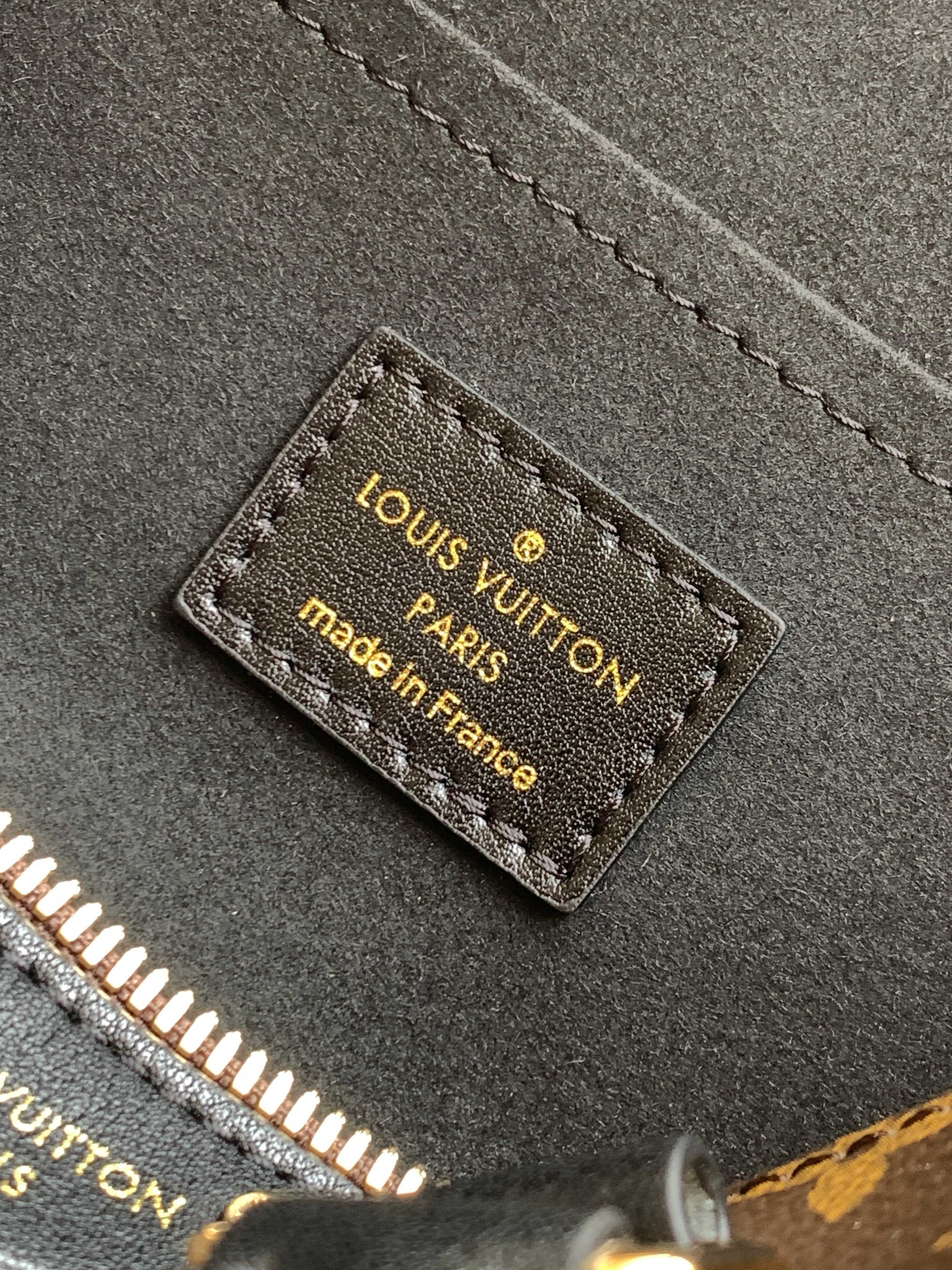 Louis Vuitton bag-5