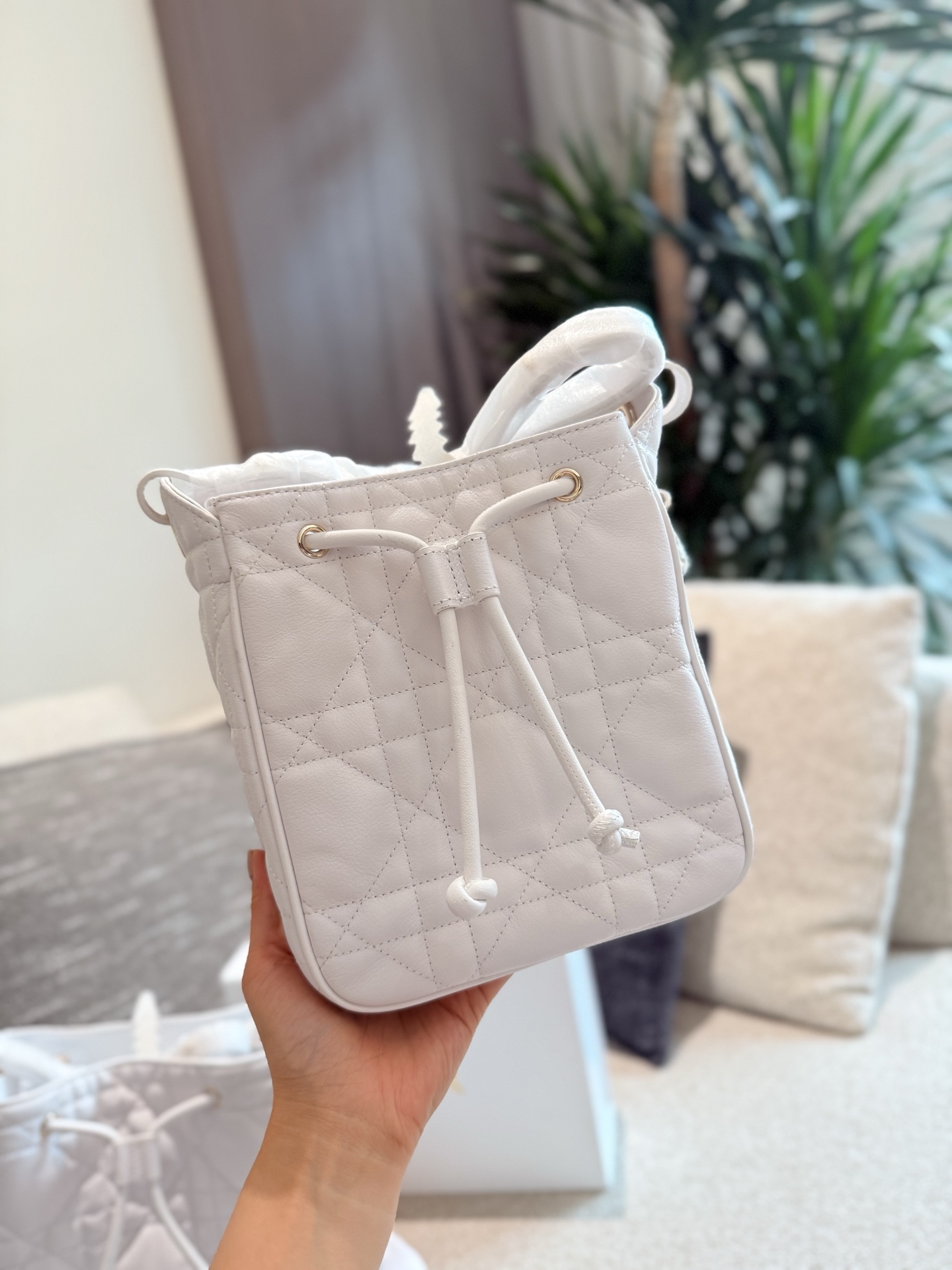 Dior bag-13