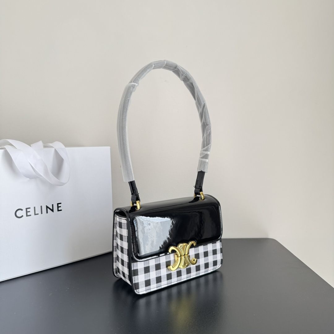 Celine bag-105