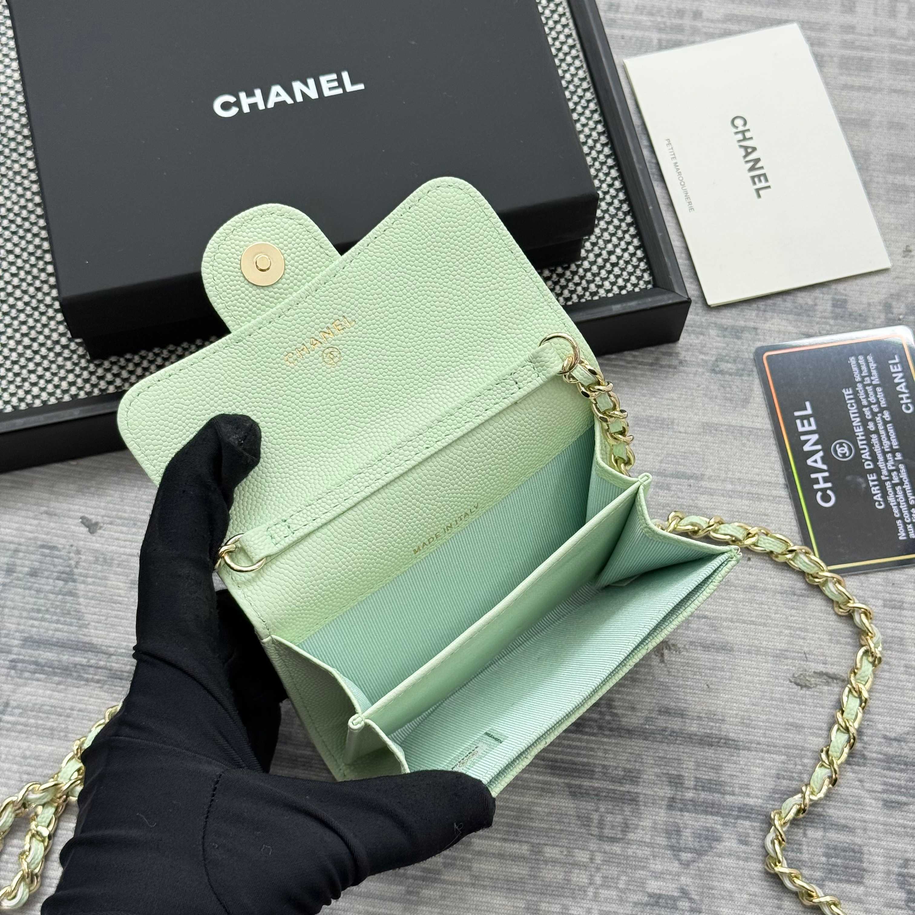 Chanel bag-14