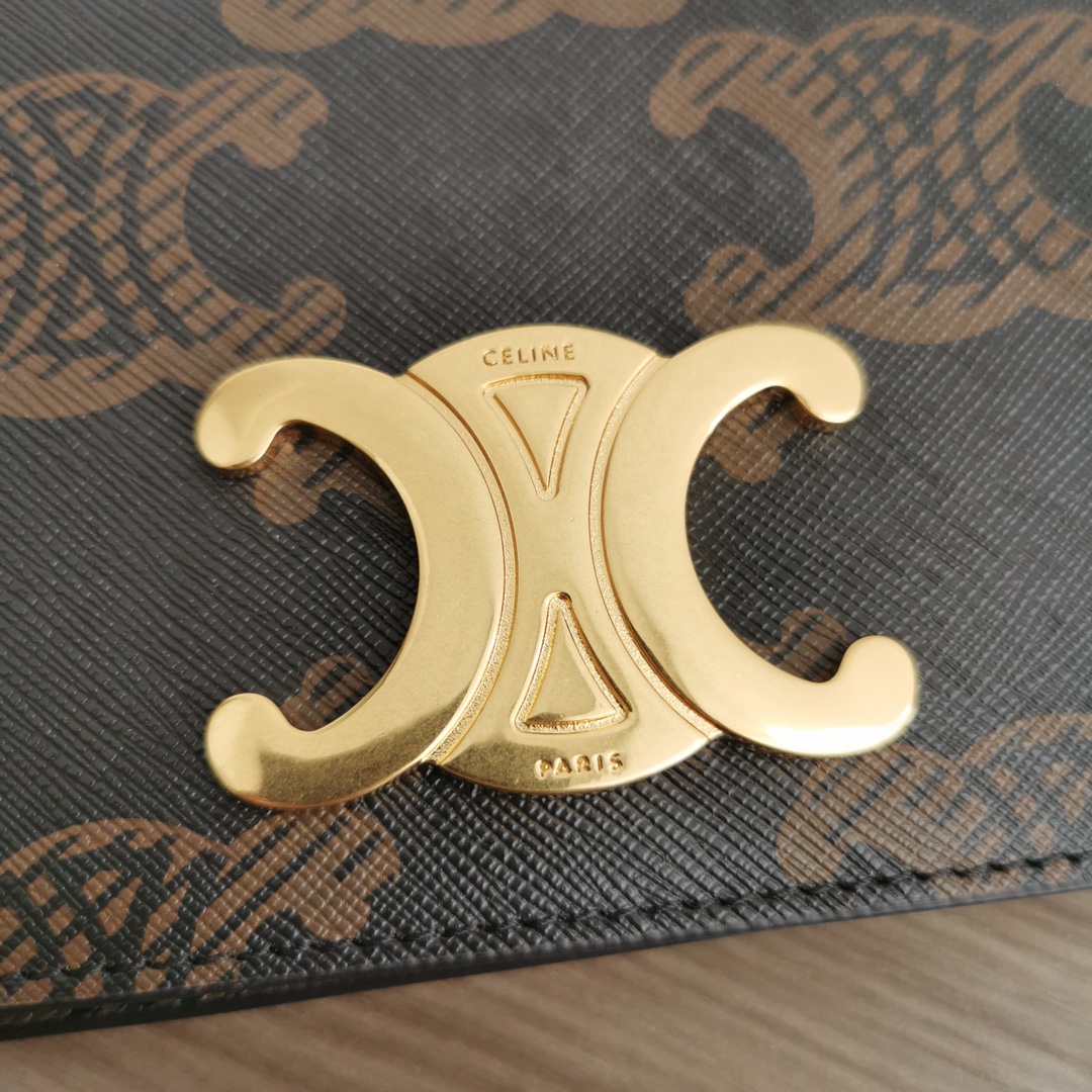 Celine bag-121