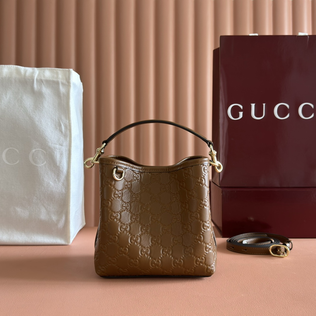 Gucci new bag-105