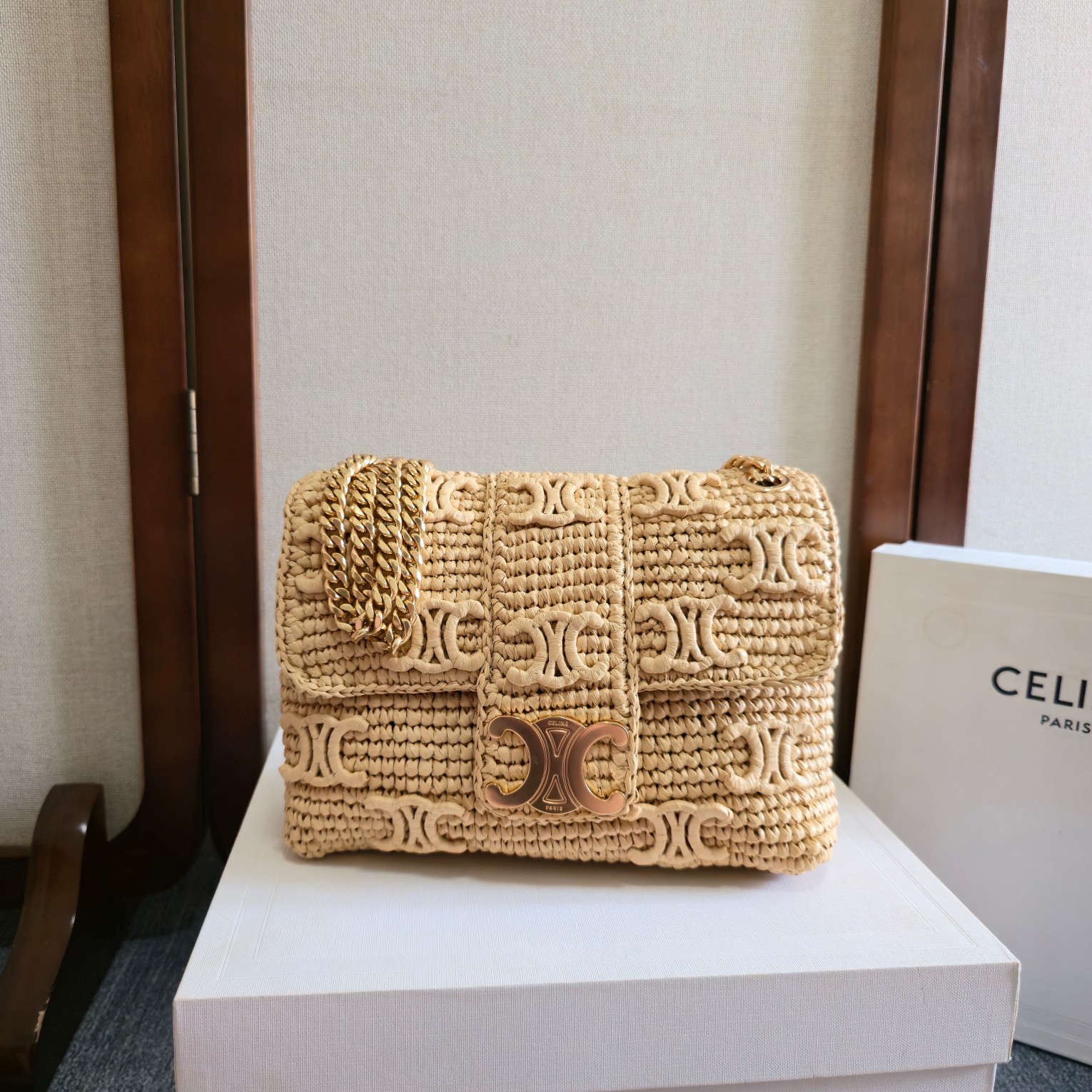Celine bag-19