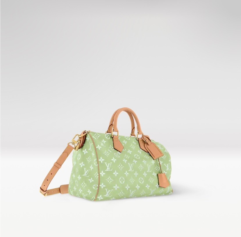 Louis Vuitton bag-115
