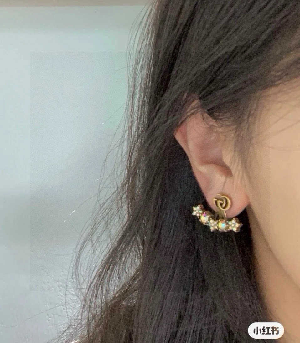 Gucci earrings-72