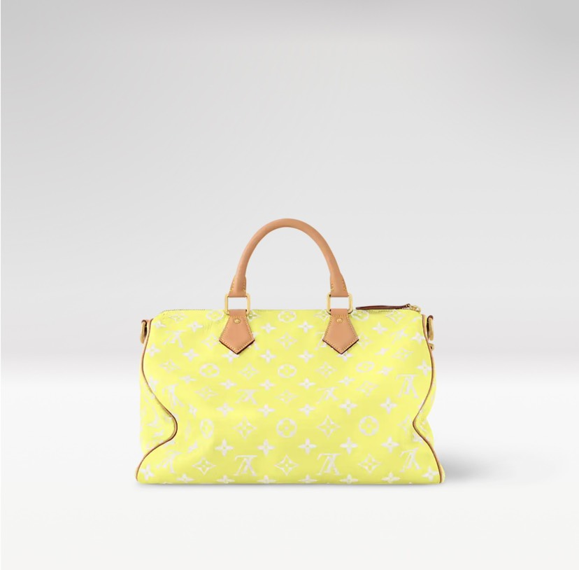 Louis Vuitton bag-6
