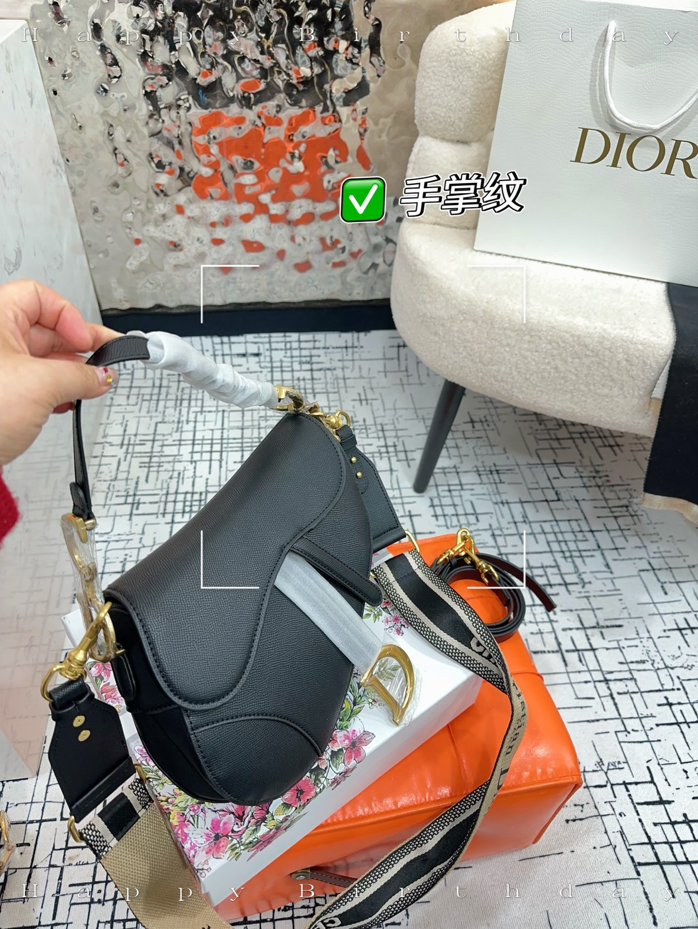 Dior bag-10