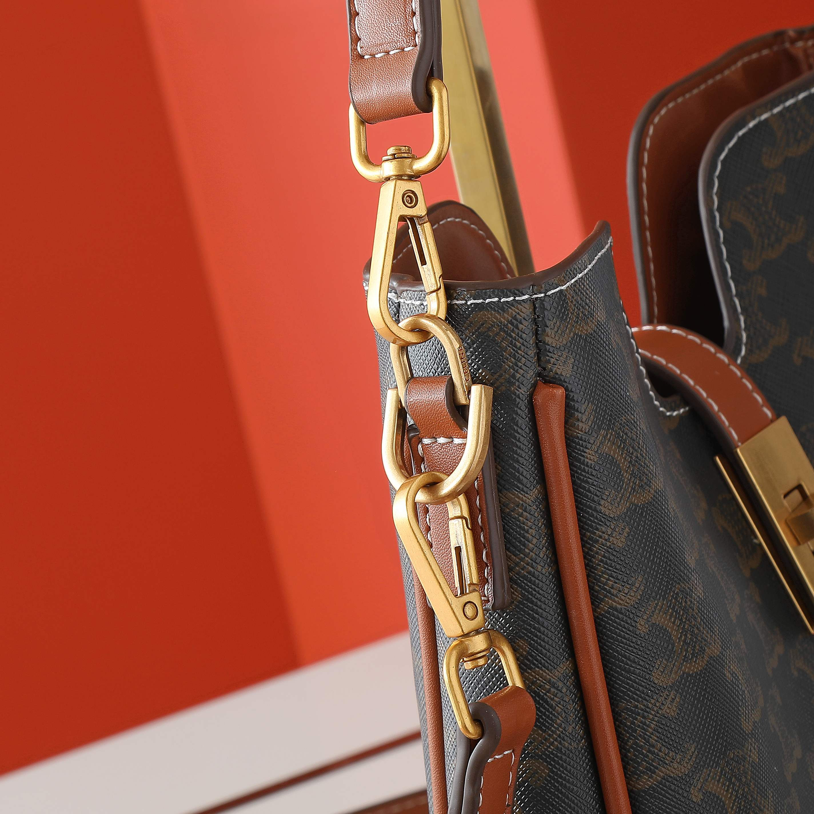 Celine bag-4