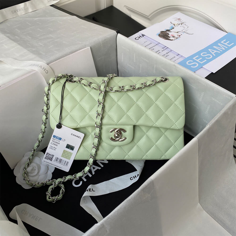 Chanel Classic Flap Medium SiLouis Vuittoner hardware