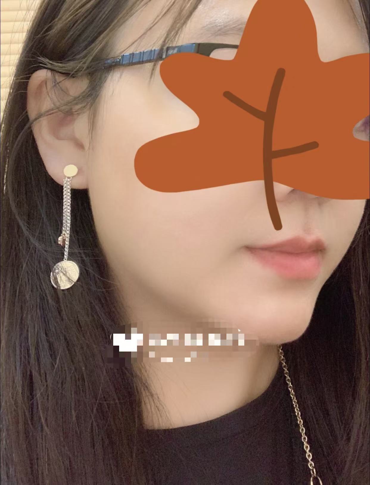 Hermes earrings-64