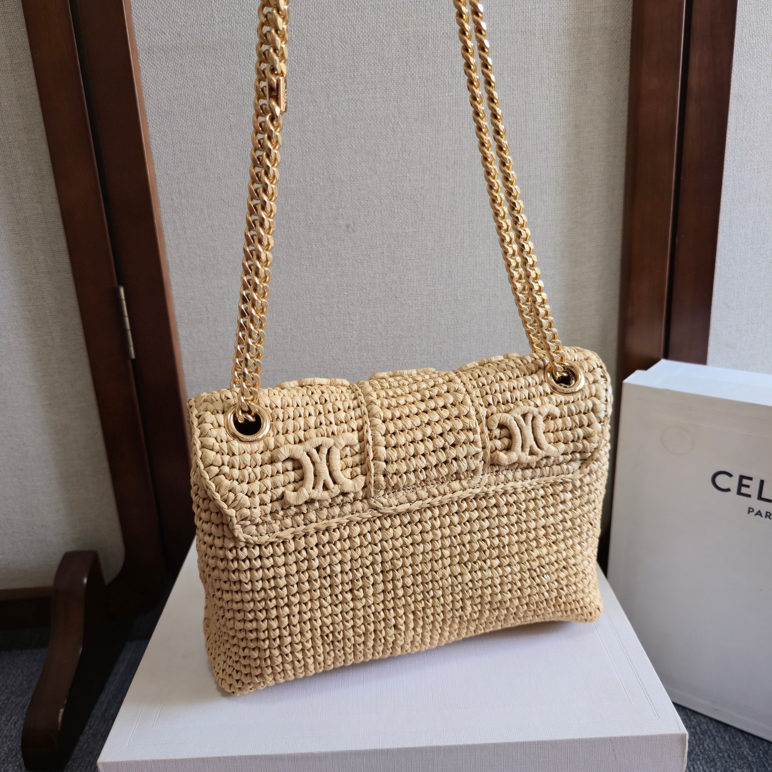 Celine bag-19