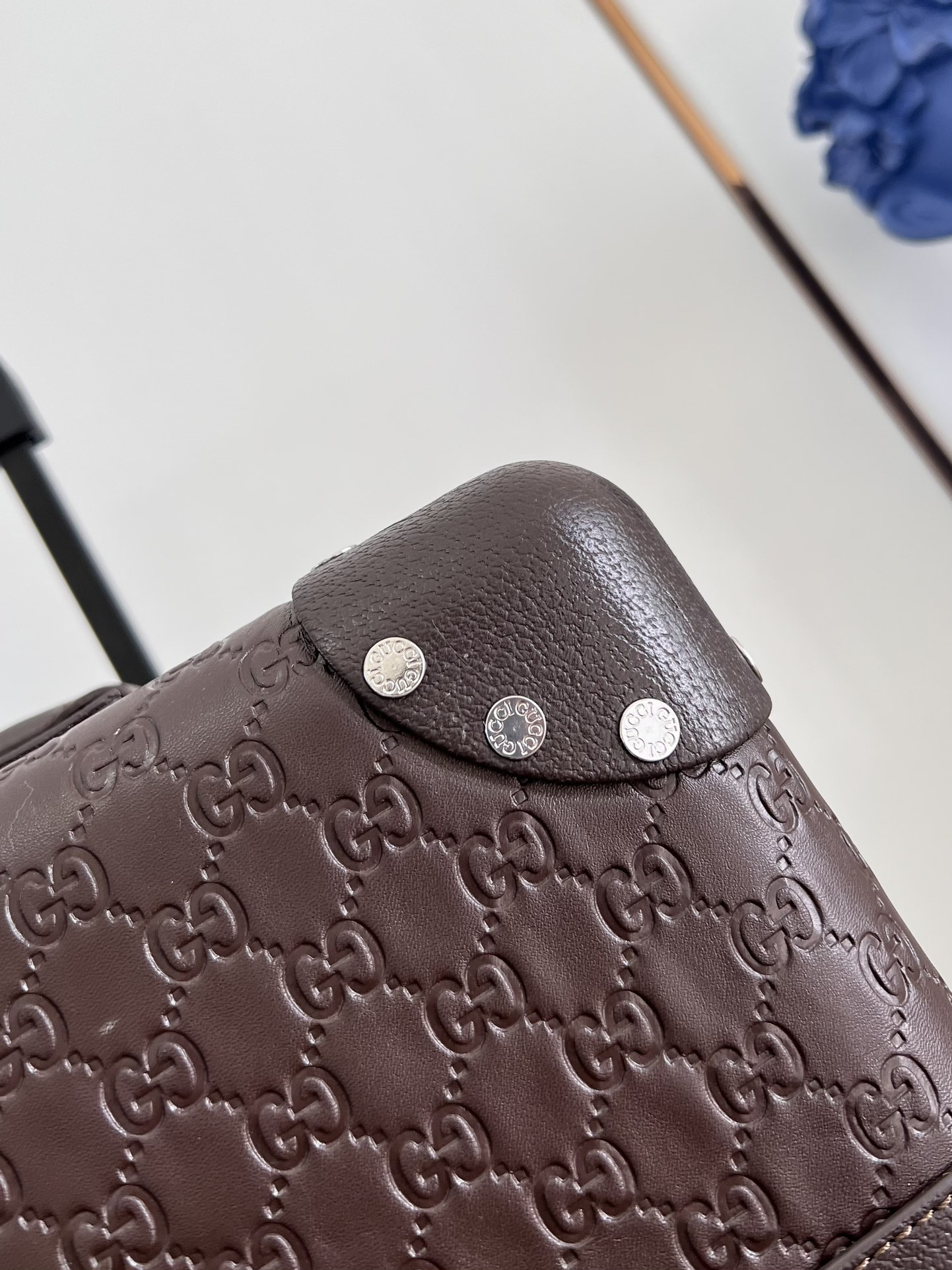 Gucci luggage-4