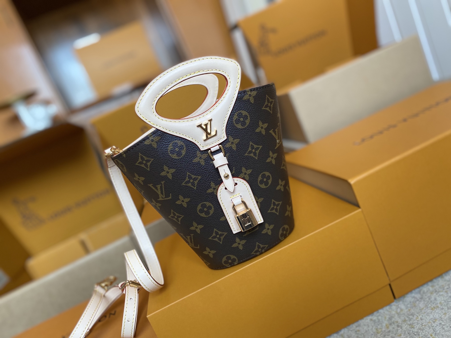 Louis Vuitton bag-50