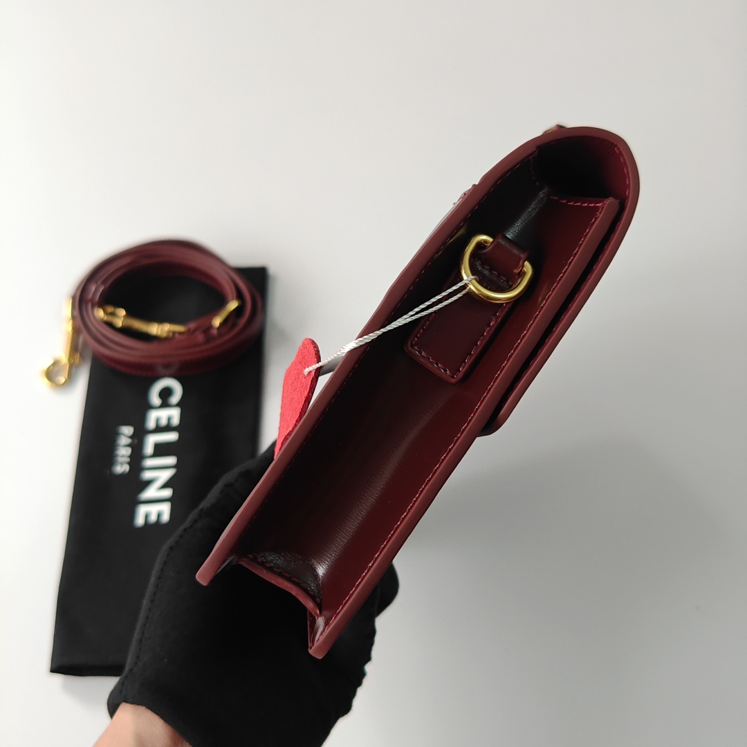 Celine bag-6