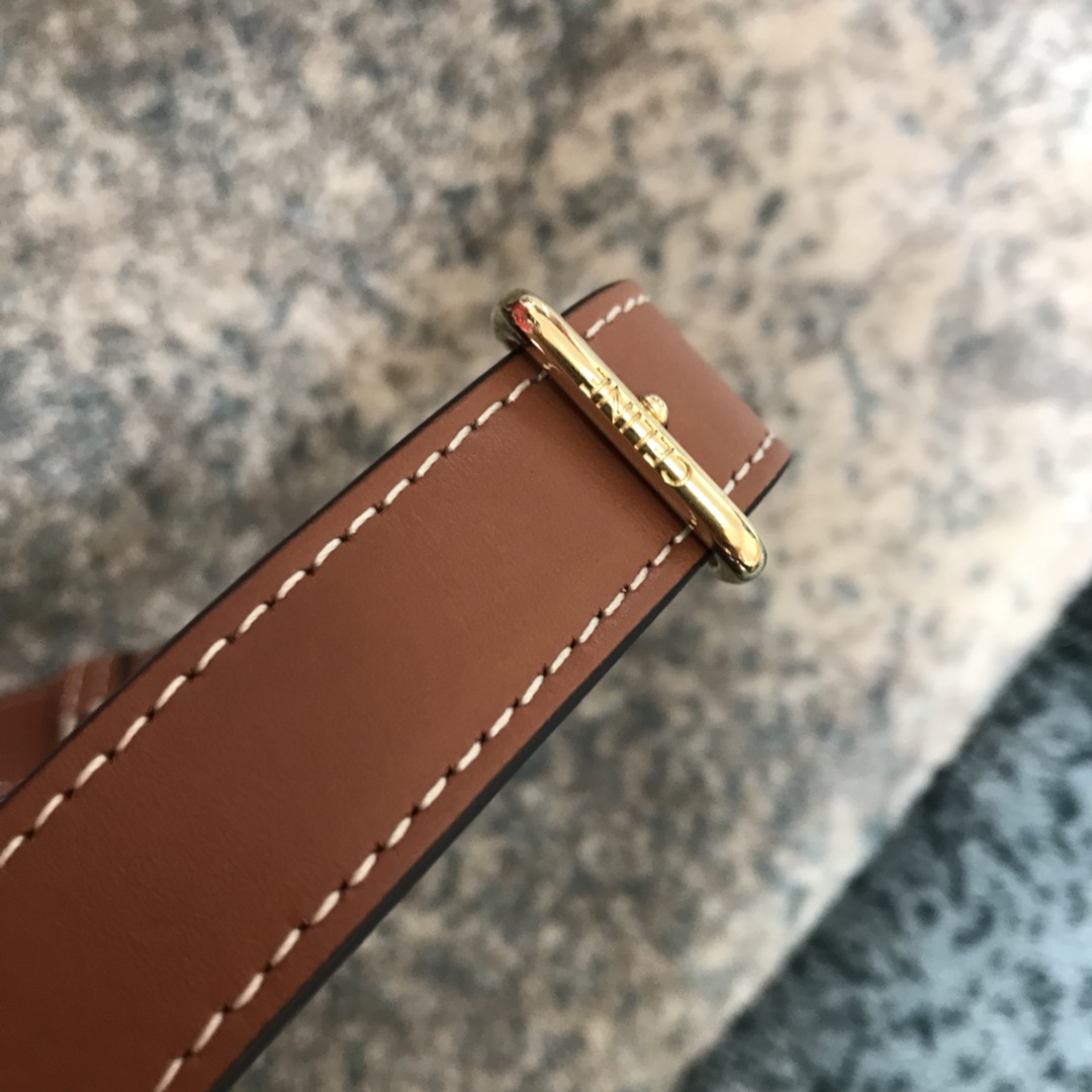 Celine bag-125
