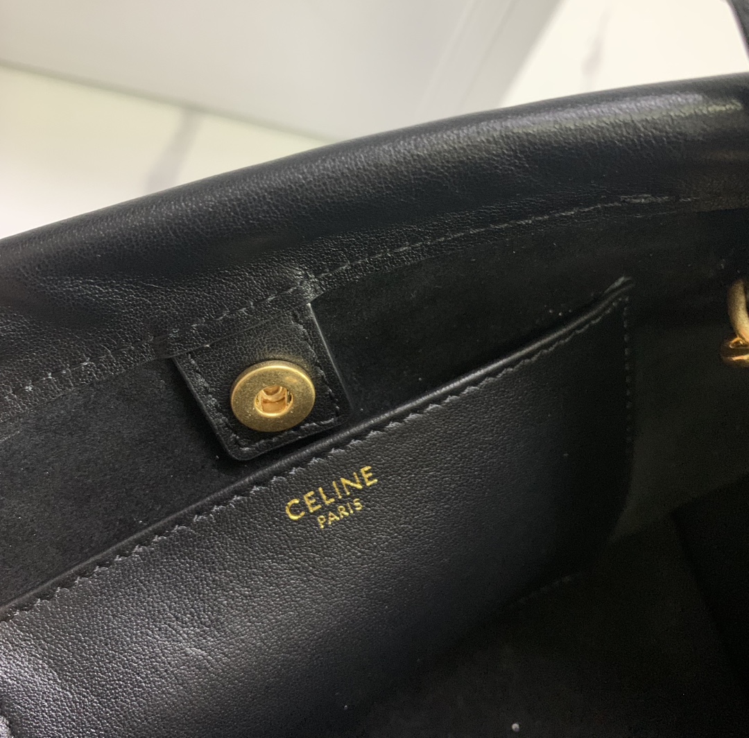 Celine bag-117