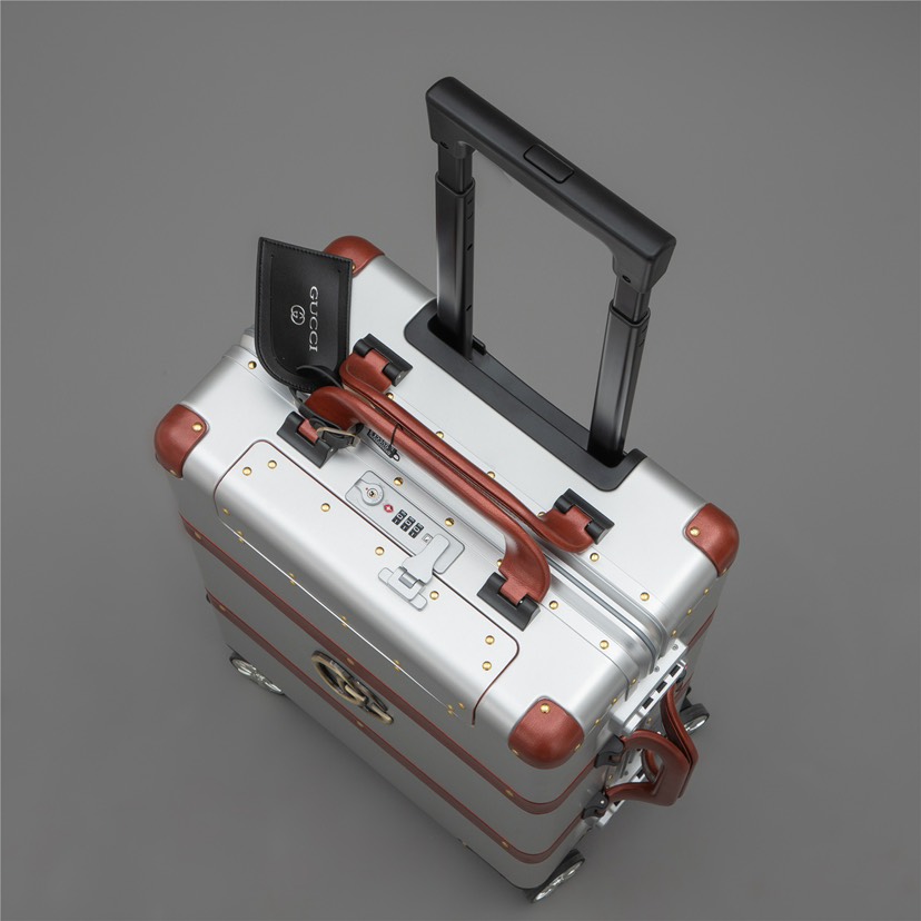 Gucci luggage-10