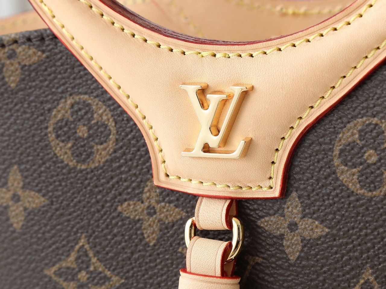 Louis Vuitton bag-22