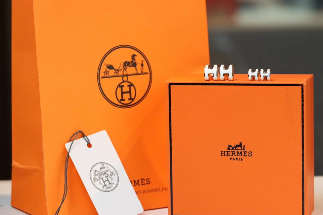 Hermes earrings-66