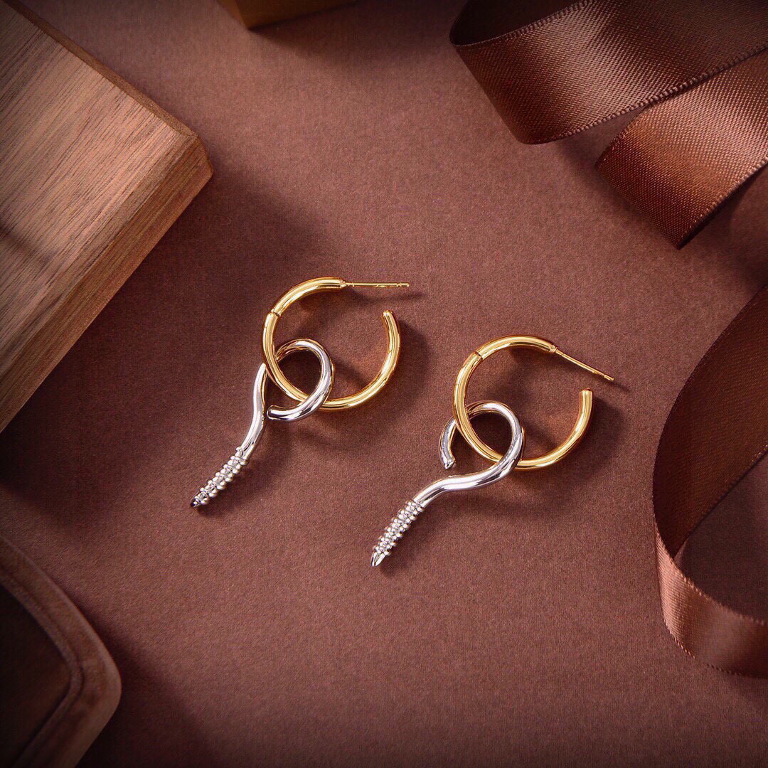 Balenciaga earrings-73