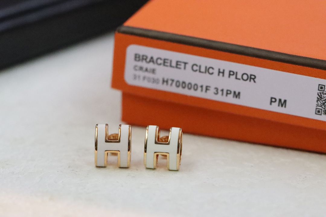 Hermes earrings-65