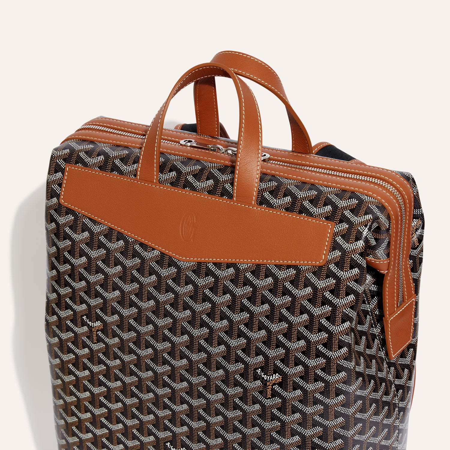 Cisalpin Backpack