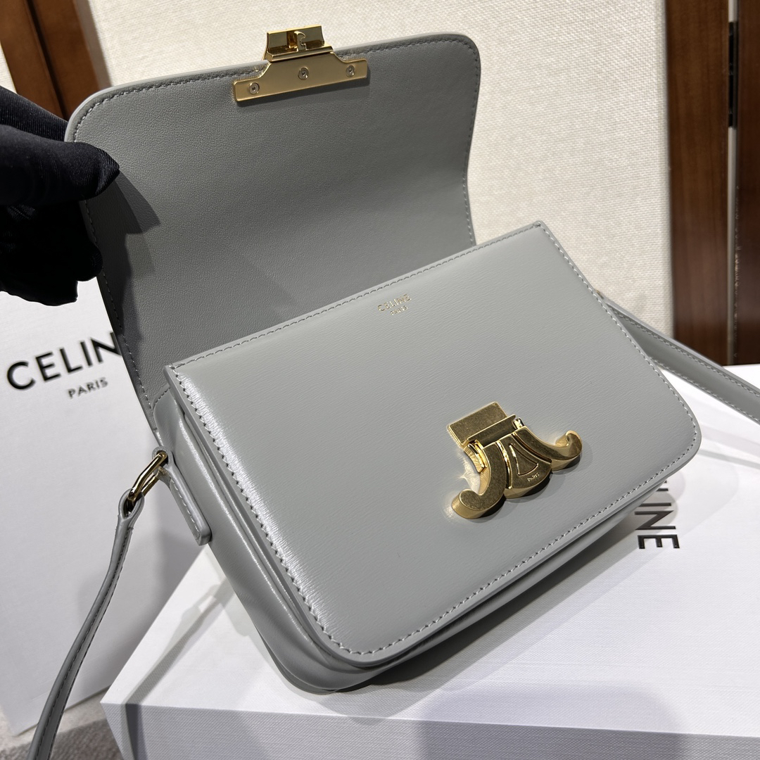 Celine bag-70