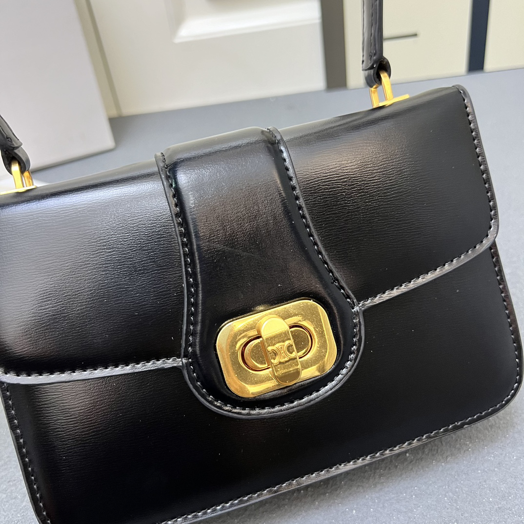 Celine bag-130