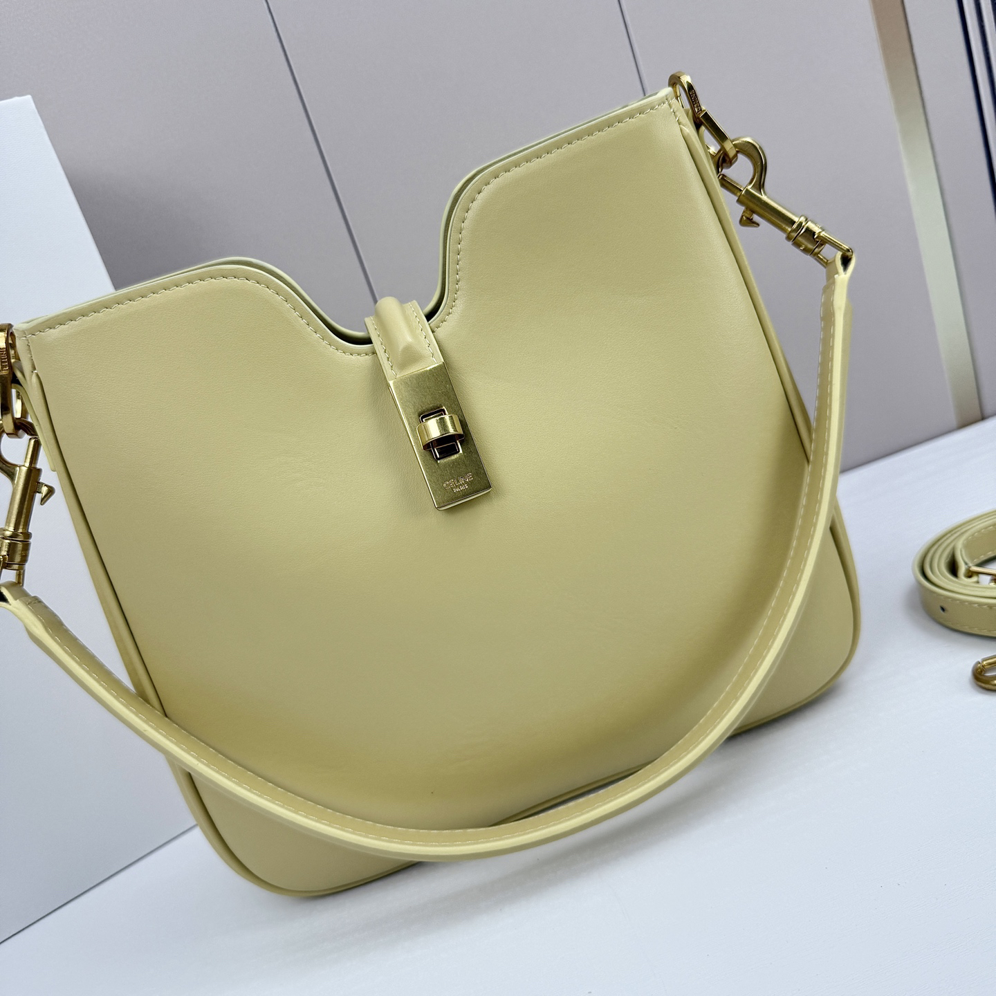 Celine bag-5