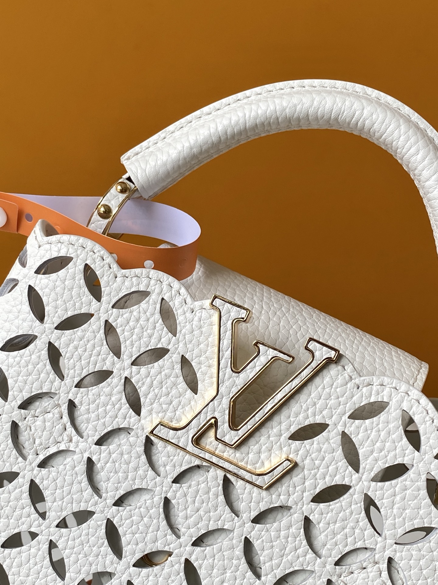 Louis Vuitton bag-100