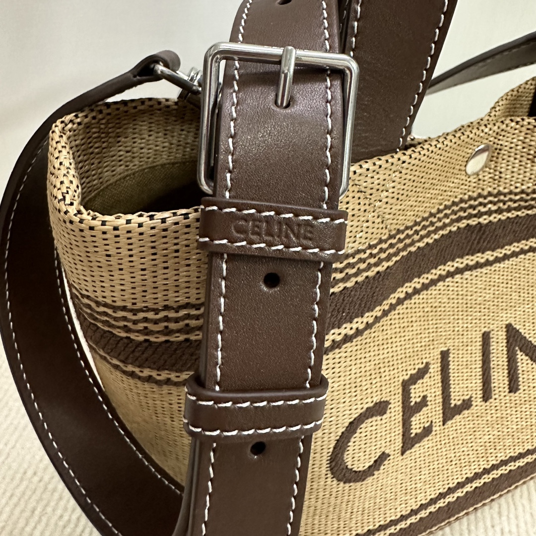 Celine bag-120