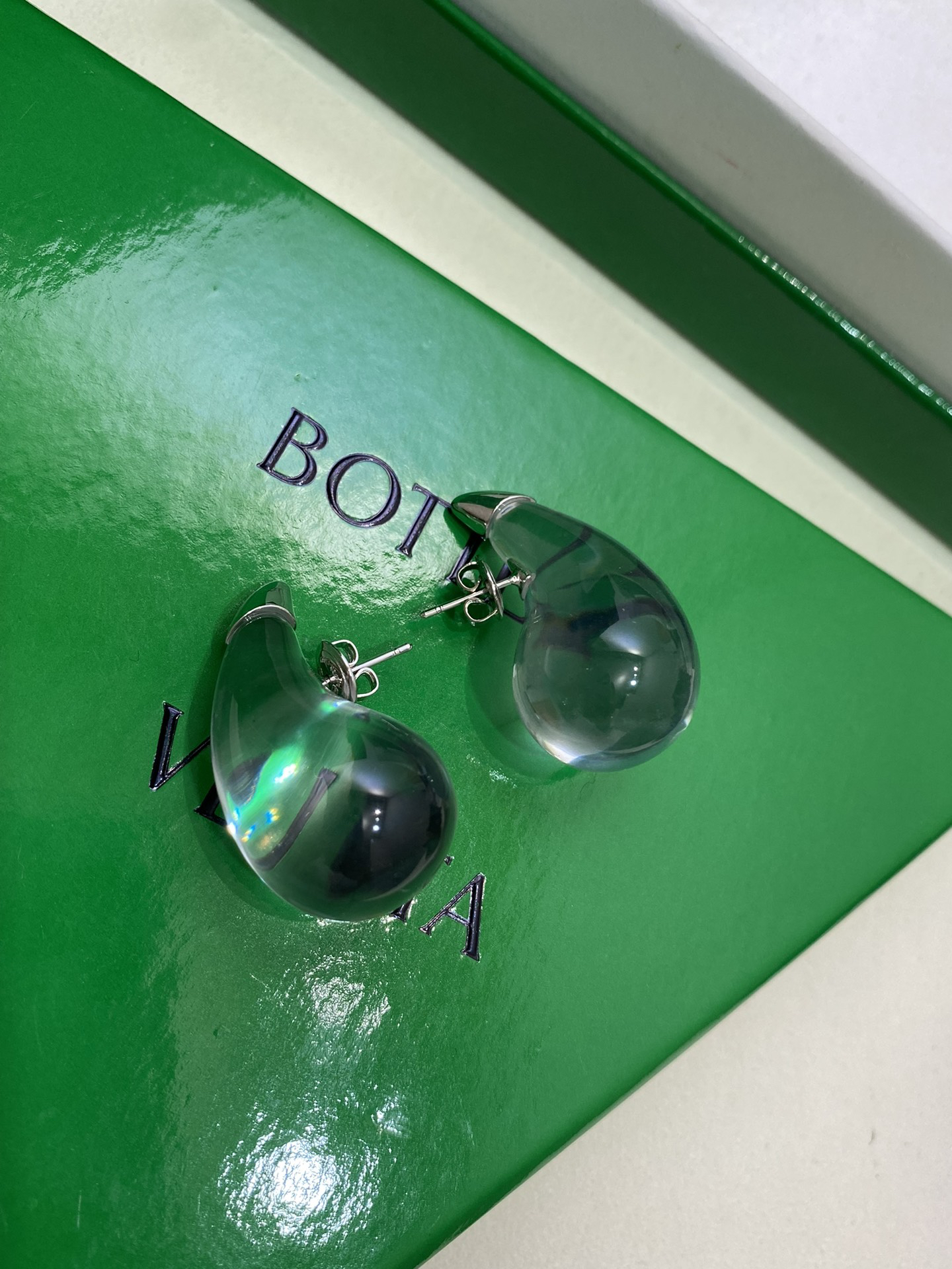 Bottega Veneta earrings-69