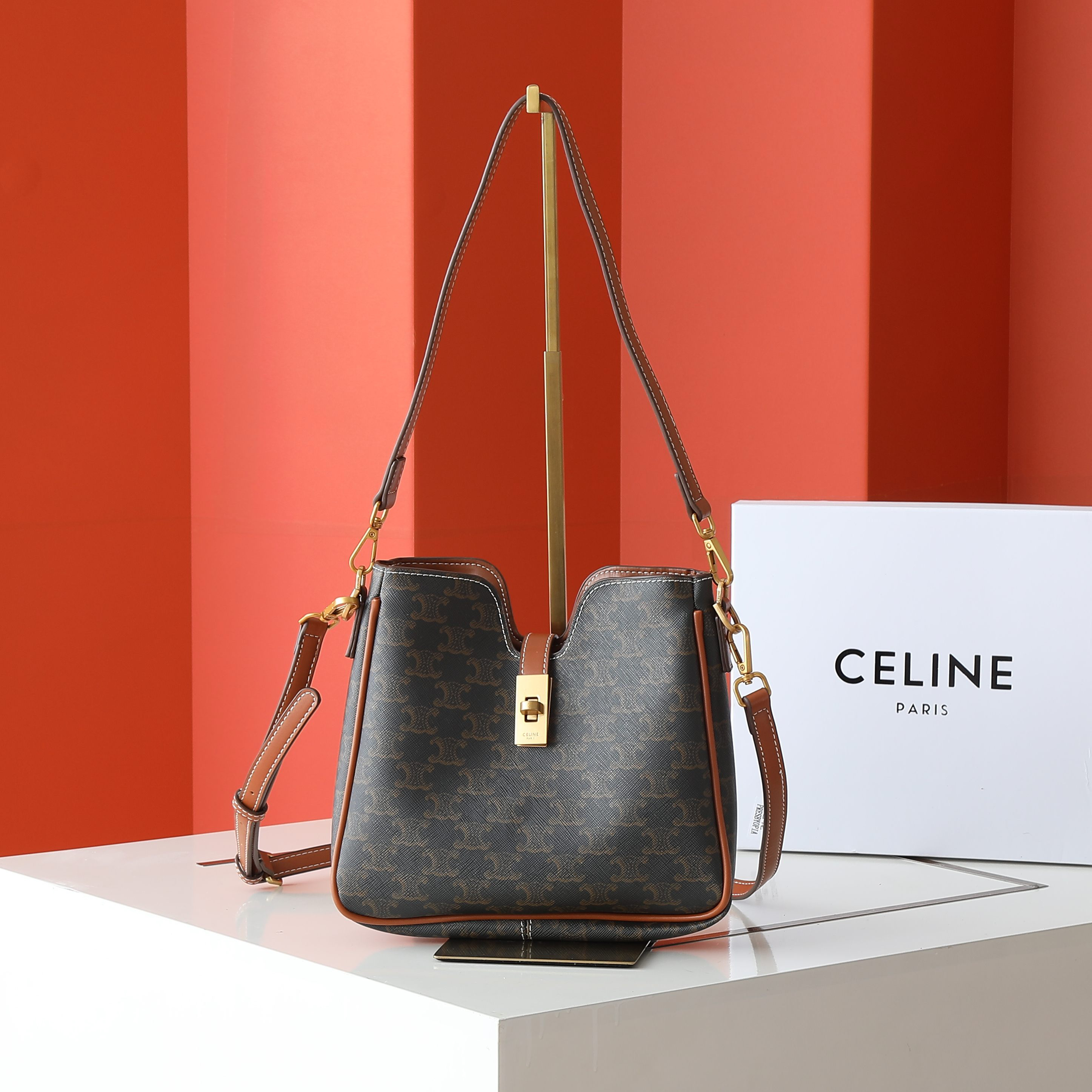 Celine bag-4
