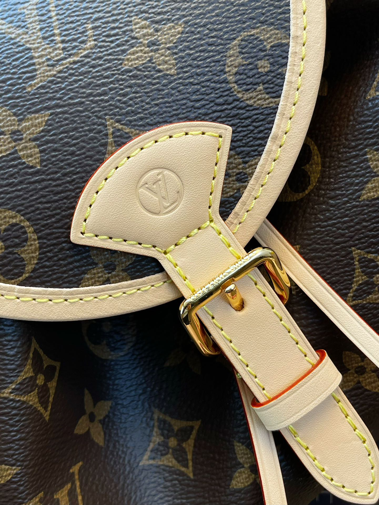 Louis Vuitton bag-18