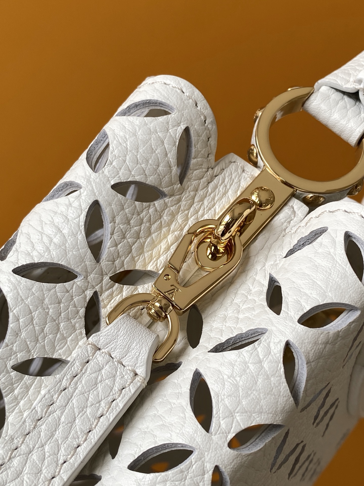 Louis Vuitton bag-100
