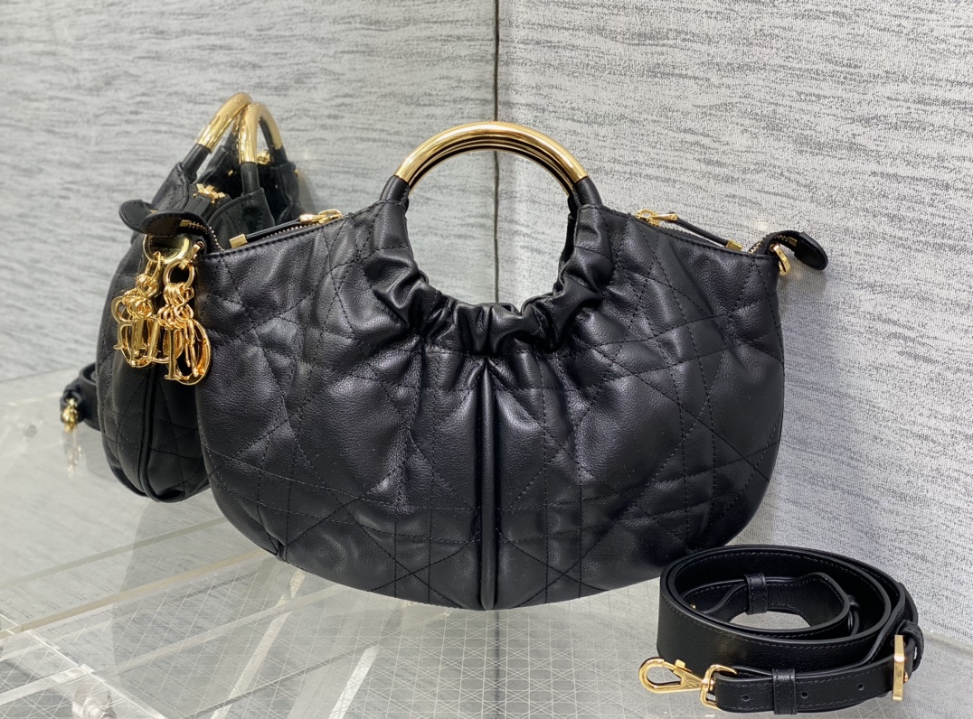 Dior bag-41