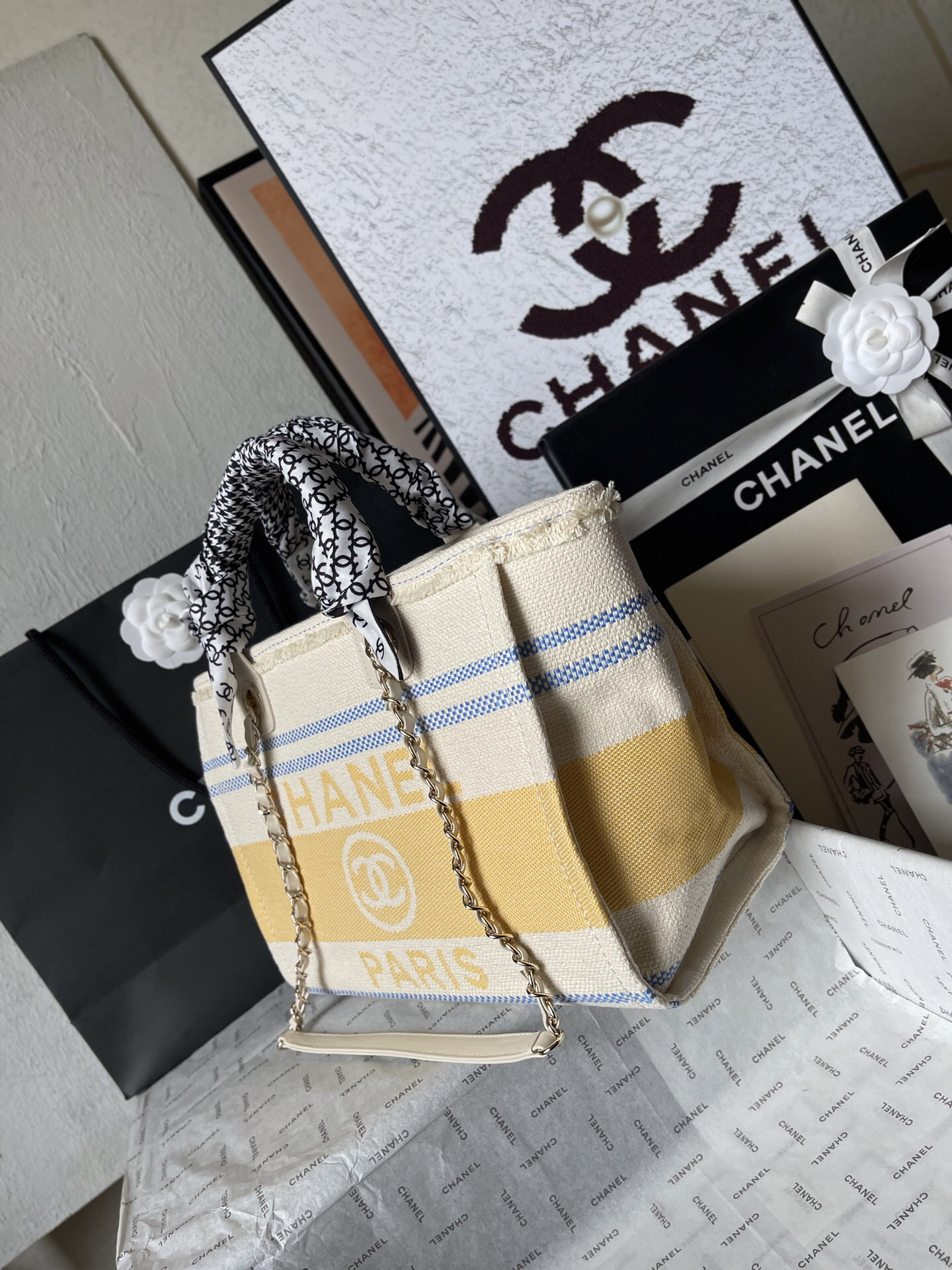 Chanel bag-2