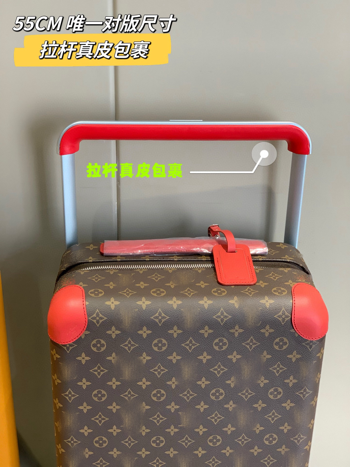 LV luggage-56