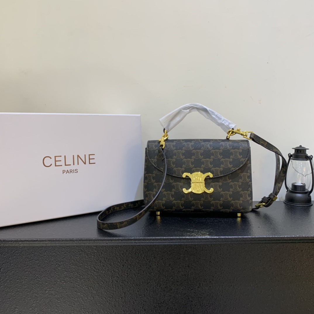 Celine bag-106