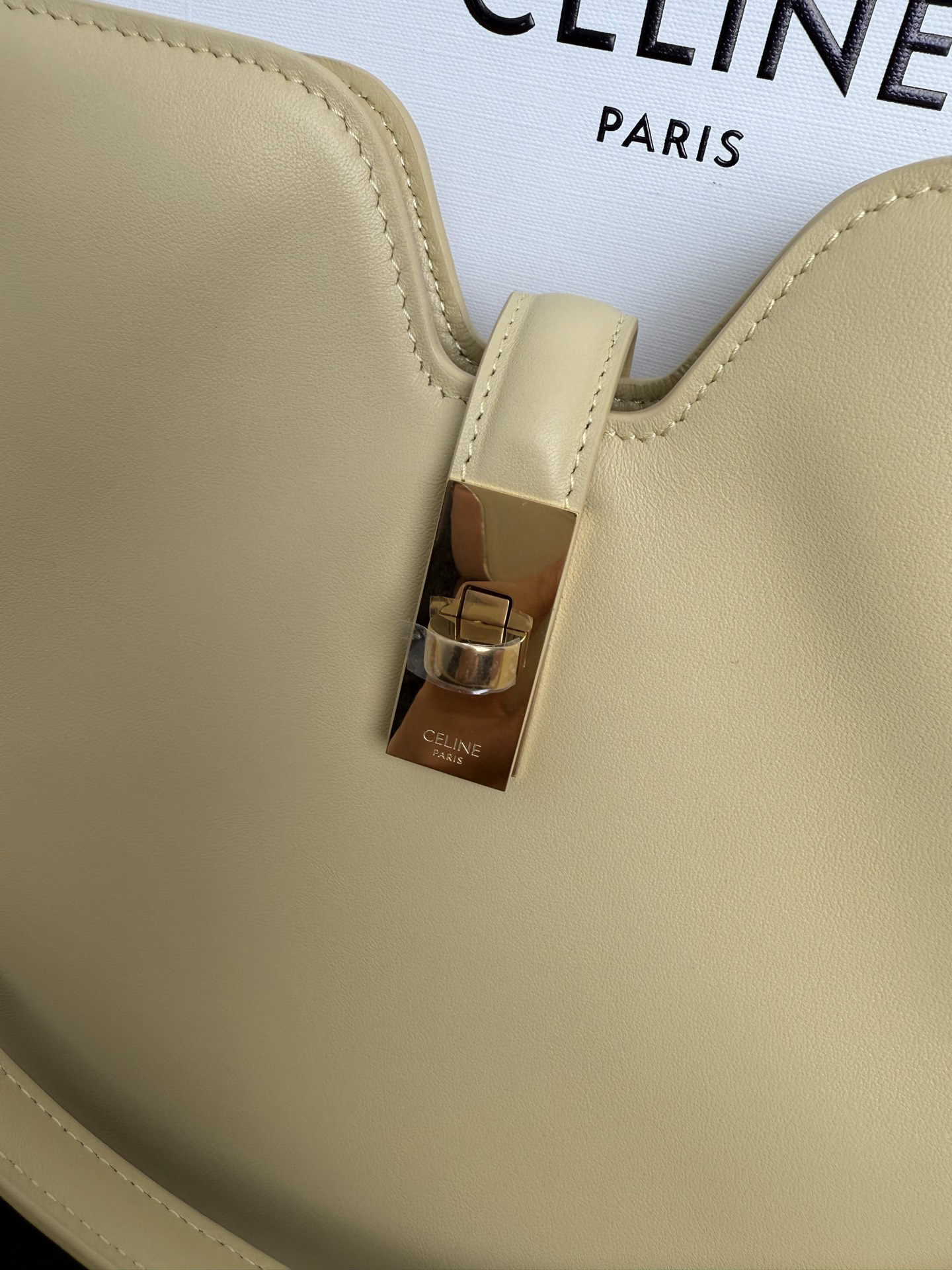 Celine bag-12