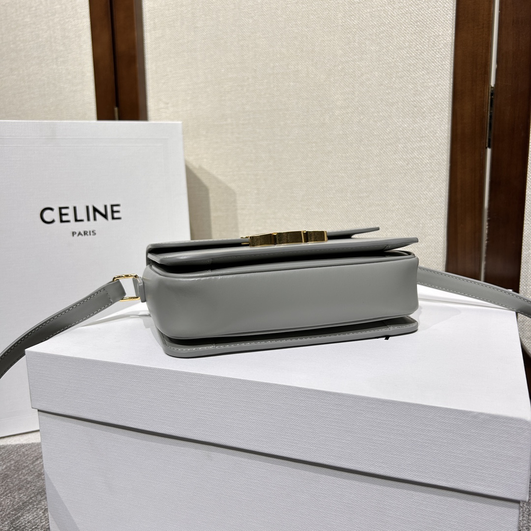 Celine bag-70