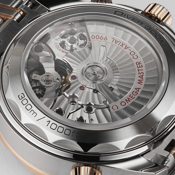 Seamaster Diver 300 Co-Axial Master Chronometer 41mm