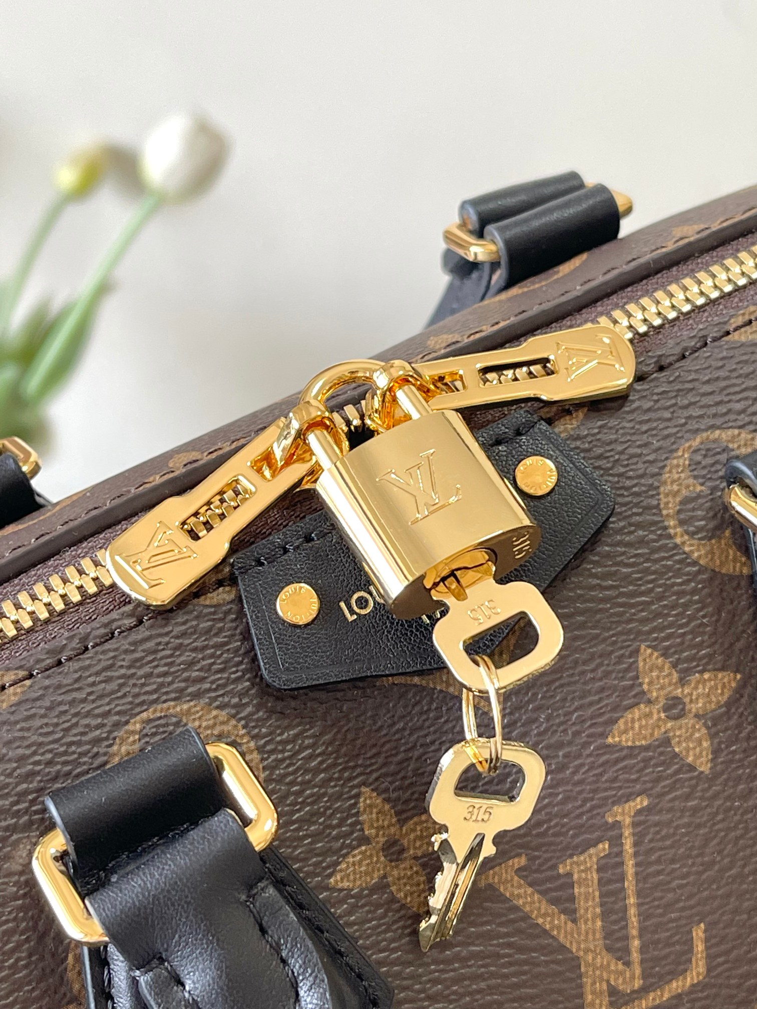 Louis Vuitton bag-91
