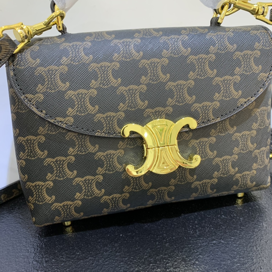 Celine bag-106