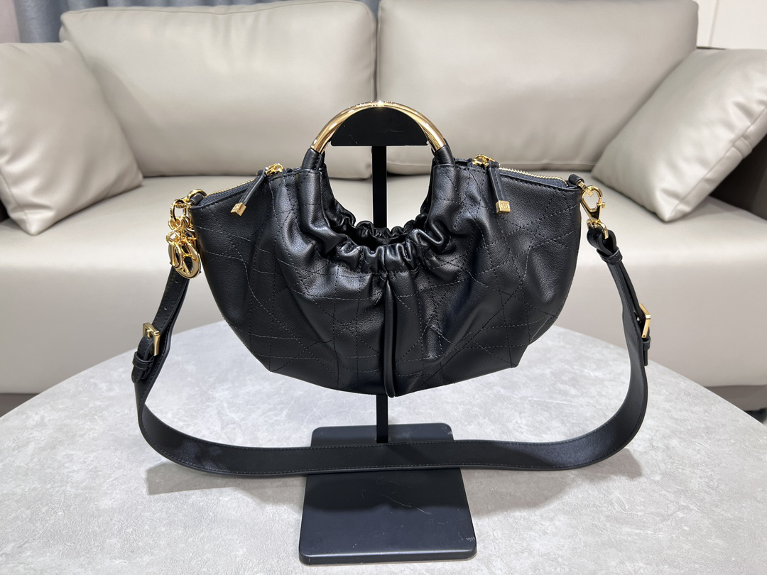 Dior bag-31