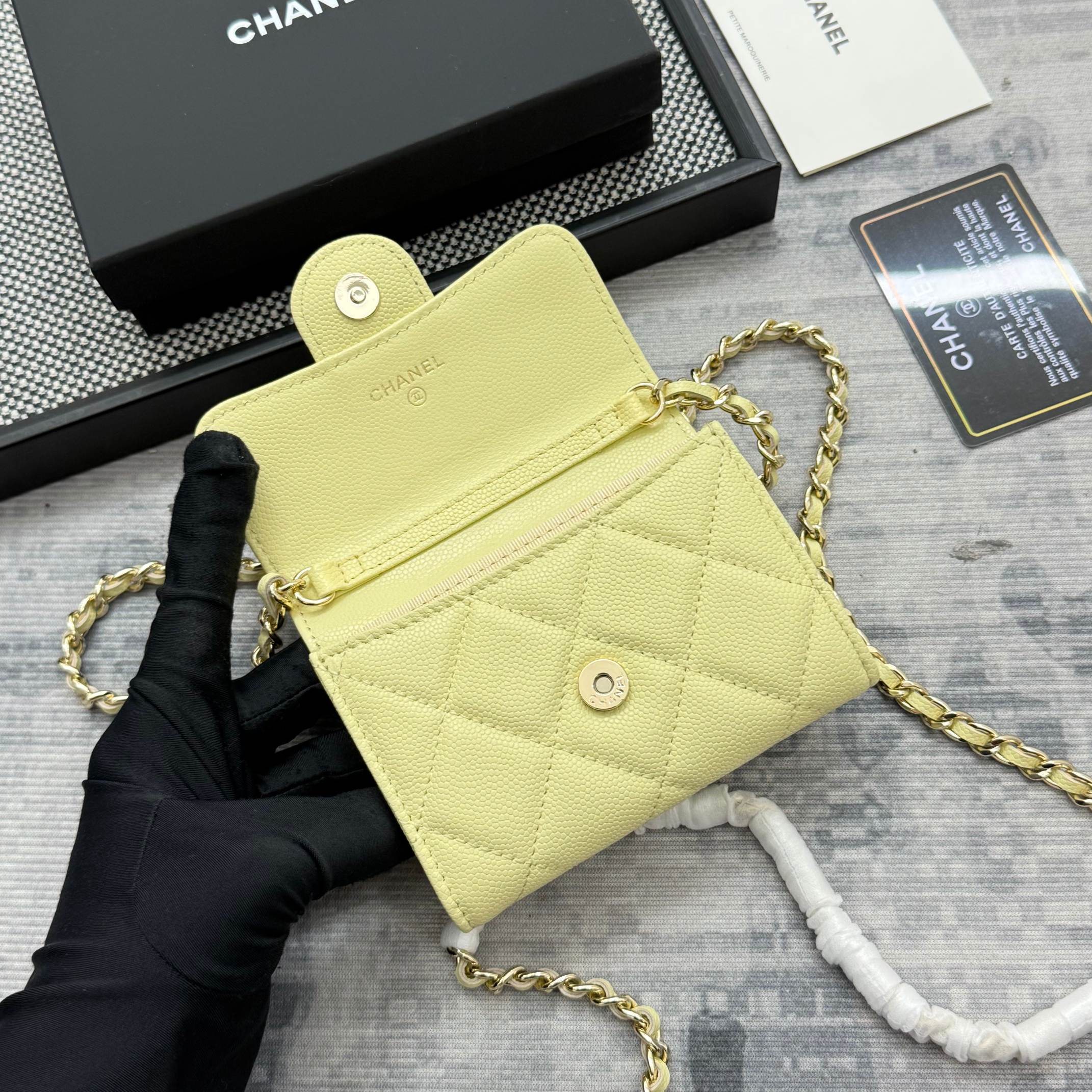 Chanel bag-13