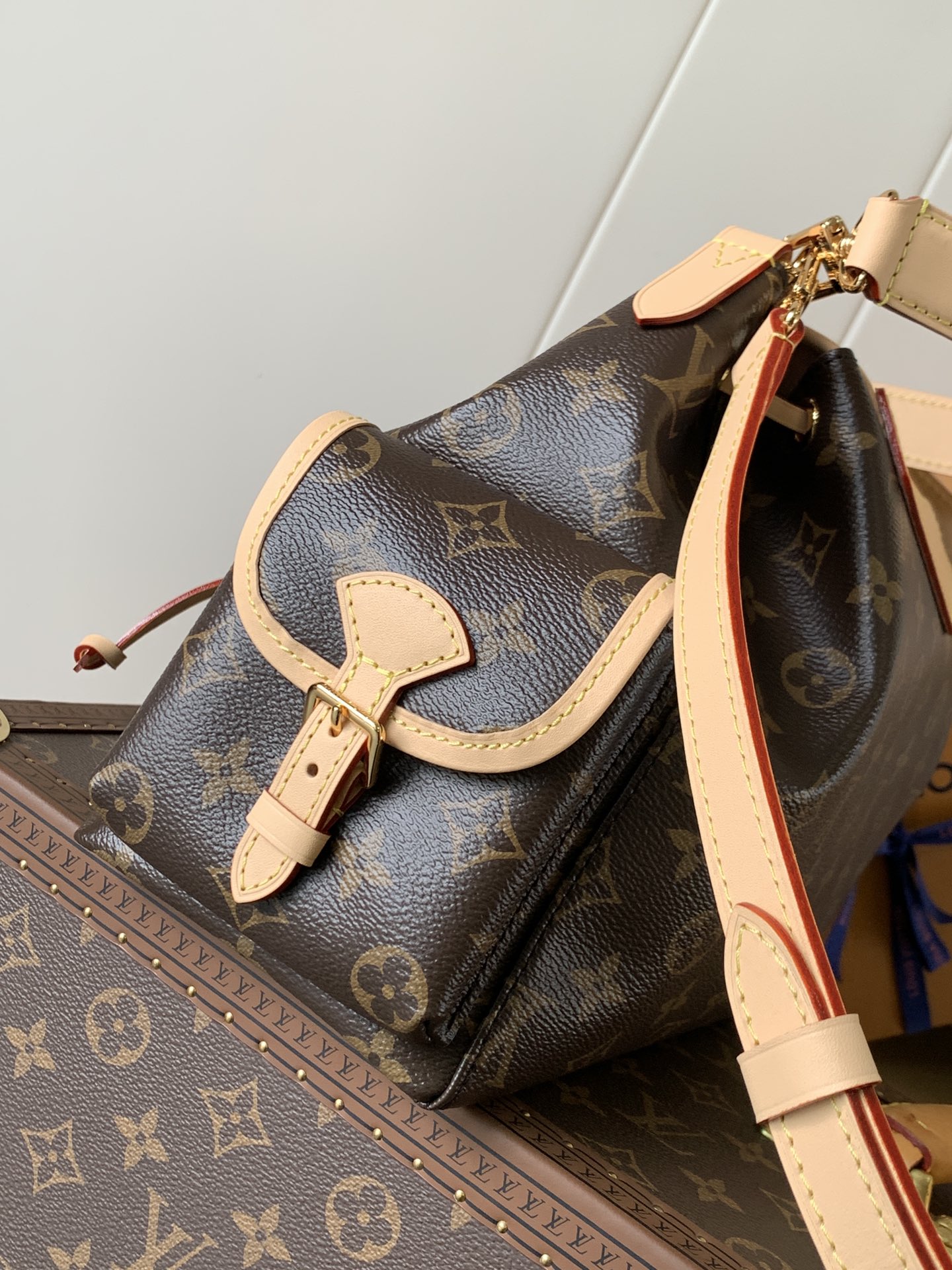 Louis Vuitton bag-34