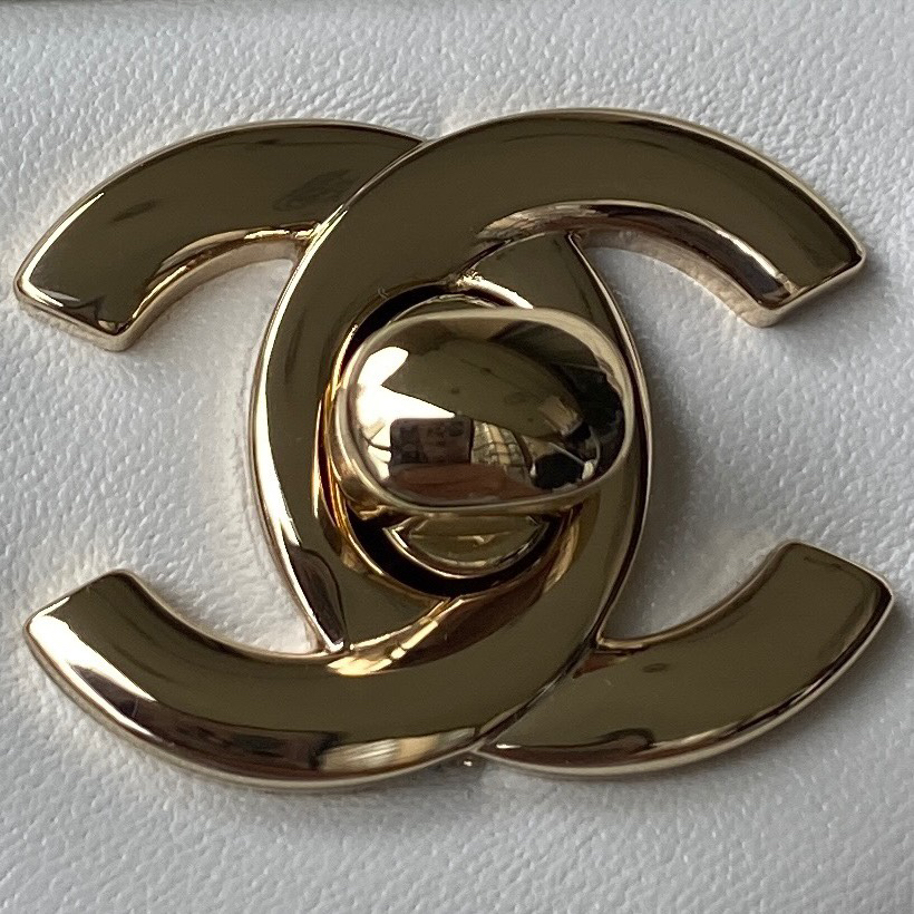 Chanel bag-100